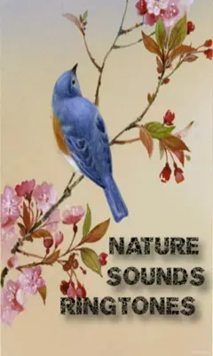 Nature Sounds Ringtones android App screenshot 1